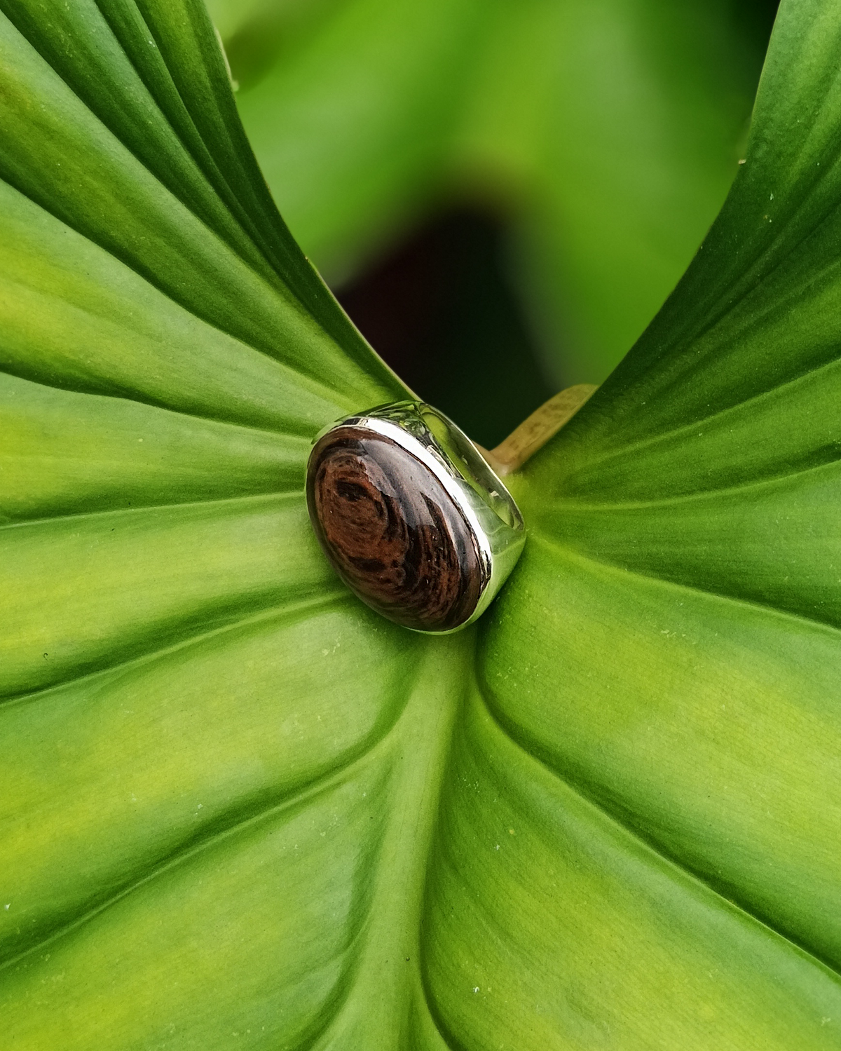 Ring with a wooden like, copper obsidian gemstone, inlay on a green leaf. Maison Natalie Noor, jewelry lit by desire.