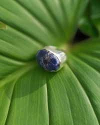 Silver ring with a blue gemstone on a green leaf. Maison Natalie Noor, jewelry lit by desire.