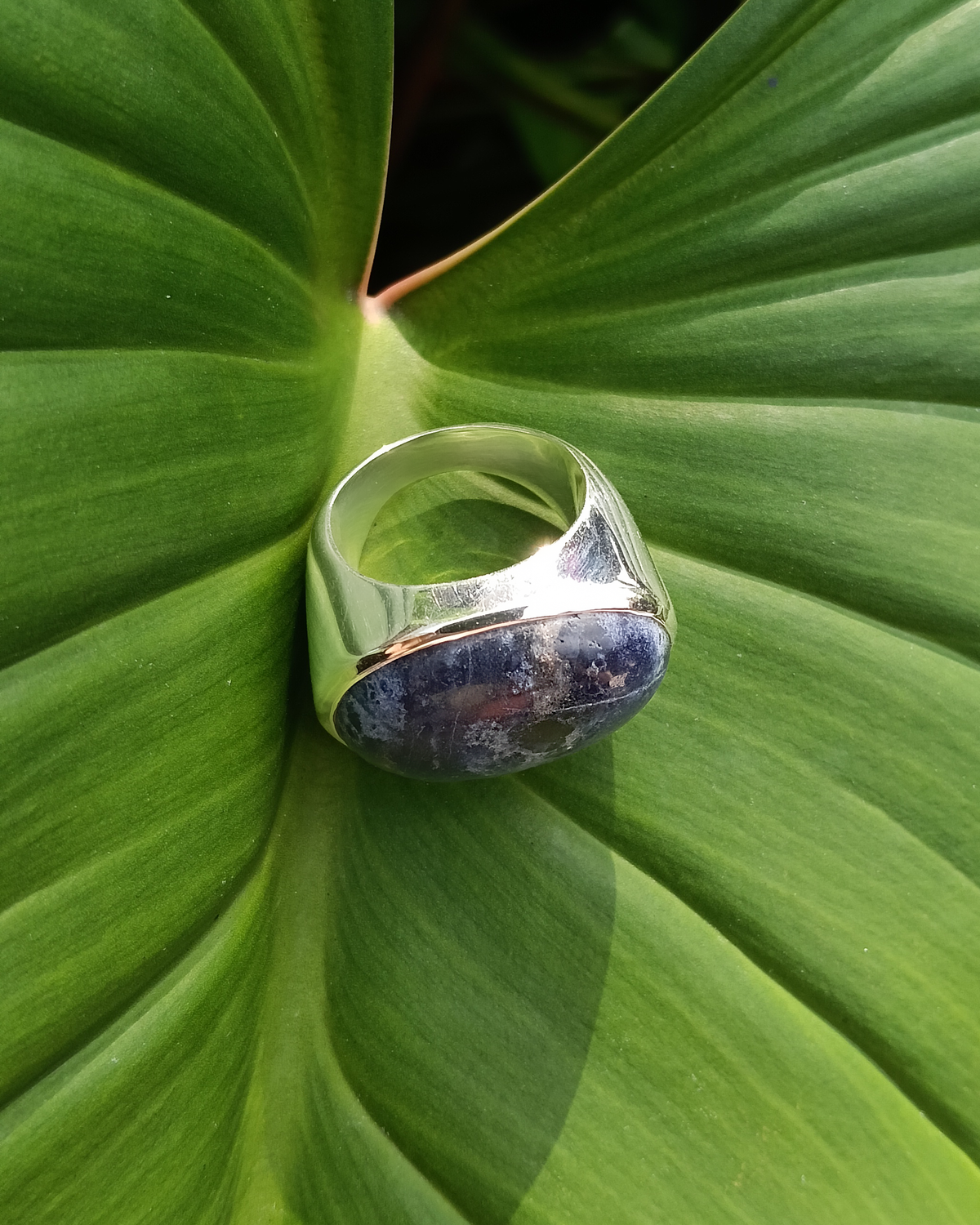 Silver ring with a blue gemstone stone on a green leaf. Maison Natalie Noor, jewelry lit by desire.