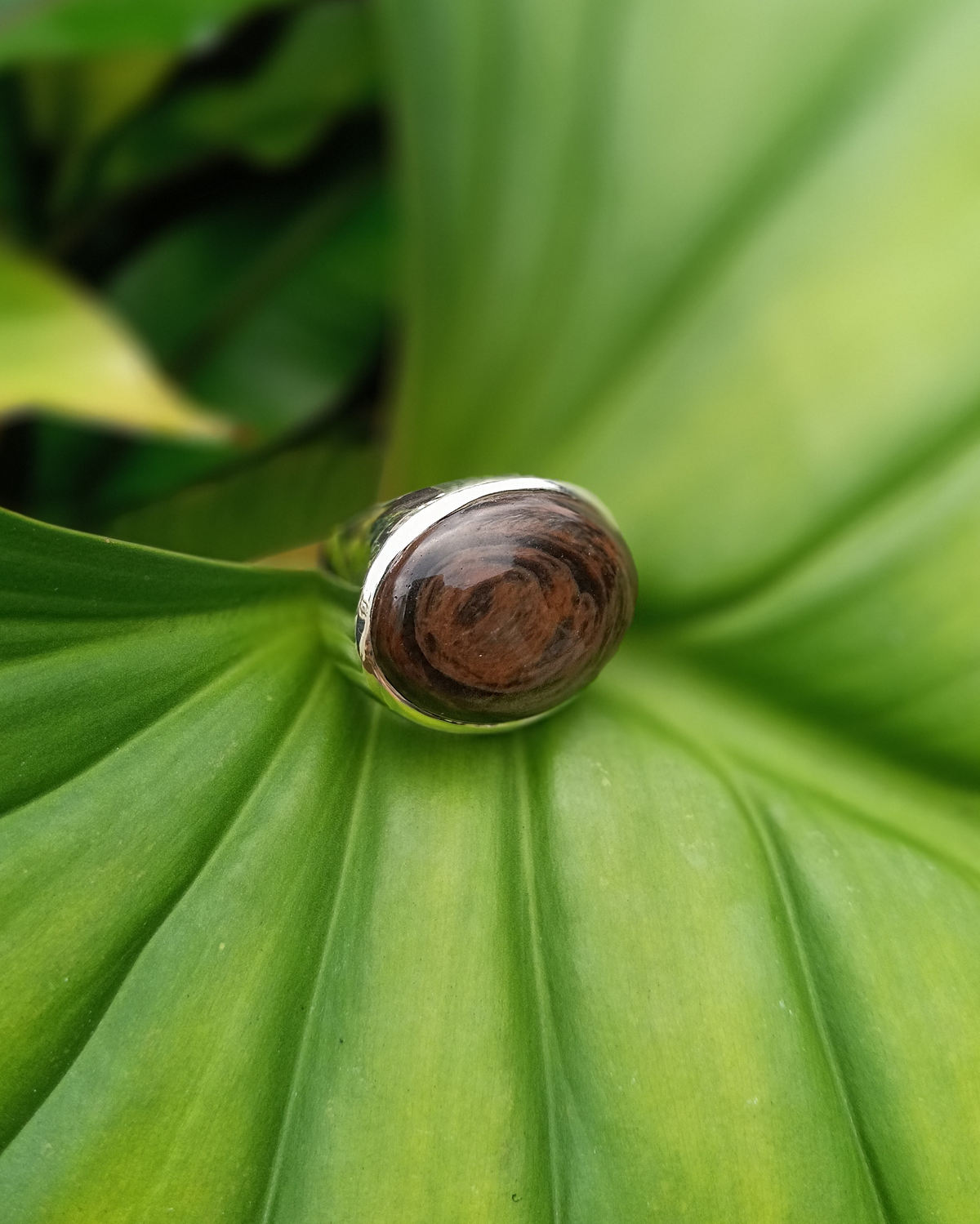 Wooden like, copper obsidian ring with silver band on a green leaf. Maison Natalie Noor, jewelry lit by desire.