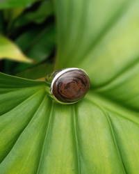 Wooden like, copper obsidian ring with silver band on a green leaf. Maison Natalie Noor, jewelry lit by desire.